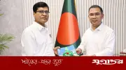 বালিশের দাম শুনে প্রধানমন্ত্রীর মন্তব্য: জাদুঘরে রাখা উচিত