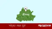 মুন্সীগঞ্জে বিলের ধানখেতে বিষধর সাপের উপদ্রব বেড়েছে