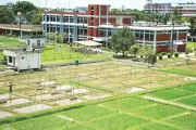 ধান গবেষণা ইনস্টিটিউটের ডিজি নিয়োগ বাতিল, নতুন সিদ্ধান্ত দ্রুত