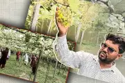 বাংলাদেশে ভিডিও কন্টেন্টের জনপ্রিয়তা বাড়ছে