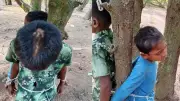 চুরির অভিযোগে দুই শিশুকে গাছে বেঁধে নির্যাতন