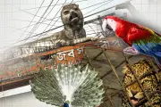 ভিডিওতে বাংলাদেশের নতুন অগ্রগতি ও সম্ভাবনা