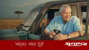 শতবর্ষে পা দিলেন প্রকৃতির কিংবদন্তি ডেভিড অ্যাটেনবরো