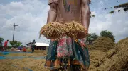 ভেজা ধান বাঁচাতে কৃষকের দুশ্চিন্তা ও লড়াই