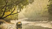 সুন্দরবনে ৪৮ ঘণ্টায় ২২ জেলে অপহরণ, পদ্মা ব্যারাজ নিয়ে দ্রুত সিদ্ধান্ত