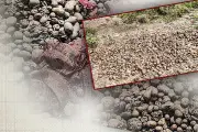 ঢাকায় রিহ্যাবের আগুনে নিহত ১, আহত ৫