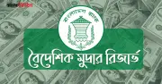 রিজার্ভ ফের ঊর্ধ্বমুখী, রেমিট্যান্সে স্বস্তি ফিরেছে