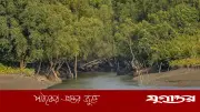 সুন্দরবনে ১১ জেলে অপহরণ, মুক্তিপণ দাবি বনদস্যুদের