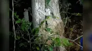বাংলাদেশের নতুন শিক্ষানীতি ঘোষণা, বাধ্যতামূলক শিক্ষা ১২ বছর