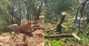 শ্রীপুরে ১৫ মিনিটের কালবৈশাখীতে তিন গ্রাম লন্ডভন্ড, বিদ্যুৎ বিচ্ছিন্ন