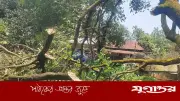 কালবৈশাখীর তাণ্ডবে লন্ডভন্ড শ্রীপুরের তিন গ্রাম