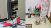 সোনারগাঁওয়ে প্রবাসীর বাড়িতে চুরি, কুমিল্লায় গরুবোঝাই ট্রাক লুট