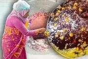 সড়ক দুর্ঘটনায় নিহত ৪, আহত ১২