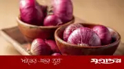 গরমে শরীর ঠান্ডা রাখতে লাল পেঁয়াজের জাদু, জানালেন বিশেষজ্ঞরা