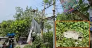 গোয়ালন্দে বিদ্যুৎ অফিসের ২০০ গজ দূরে ট্রান্সফরমার চুরি