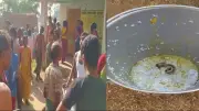 স্কুলের খাবারে সাপ, অসুস্থ ১৫০ শিশু; ইয়াবা জব্দ র্যাবের