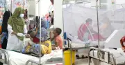 হামের পাশাপাশি ডেঙ্গু মোকাবেলায় ফিল্ড হাসপাতাল প্রস্তুত
