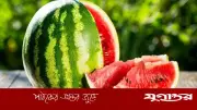 তরমুজ-খরমুজ খাওয়ার পর পানি পান করলে কী সমস্যা হয়?