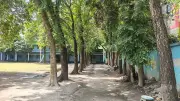 রাজশাহীর কলেজে ২৫টি গাছ কাটা নিয়ে বিতর্ক