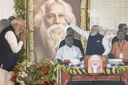 আন্তর্জাতিক ভিডিওতে নতুন দিগন্ত উন্মোচন