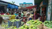 সাতক্ষীরার বাজারে আমের সরবরাহ বেড়েছে, দাম কমায় চাষিরা দুশ্চিন্তায়