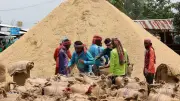 সিংড়ায় জামতলী হাটে ধানের স্তূপ, বস্তাপ্রতি ১৯ টাকা মজুরি