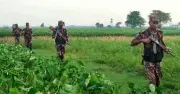কুষ্টিয়ায় সীমান্তে সতর্কতামূলক মাইকিং ও নিরাপত্তা জোরদার