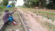 বীর মুক্তিযোদ্ধা অনন্ত কুমার বর্মণ: পাখিদের খাওয়ান, দরিদ্র মেয়েদের বিয়ে দেন
