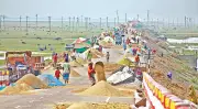 হাওরে ধান শুকাতে সড়কই ভরসা কৃষকদের