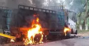 কালিয়াকৈরে গরু চুরির অভিযোগে গণপিটুনিতে তিনজন নিহত