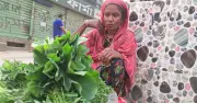 পঞ্চাশ পেরিয়েও নিজের কাঁধে সংসারের বোঝা টেনে নিচ্ছেন মনোয়ারা