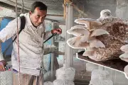 বাংলাদেশের নতুন শিক্ষানীতি ঘোষণা