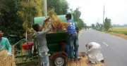 ফুলবাড়ী-মধ্যপাড়া-রংপুর মহাসড়কে ধান মাড়াইয়ে দুর্ঘটনা বাড়ছে