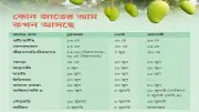 রাজশাহী, নওগাঁ ও চুয়াডাঙ্গায় আম সংগ্রহের সময়সূচি ঘোষণা