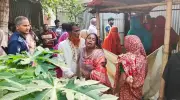 সিরাজগঞ্জে সিঁধ কেটে ঘরে ঢুকে বৃদ্ধকে কুপিয়ে হত্যা