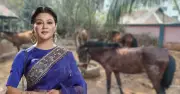 ঘোড়ার মাংস বাণিজ্য নিষিদ্ধে হাইকোর্টে রিট, জয়া আহসানসহ তিনজন
