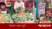 কেমিক্যালে পাকানো লিচুতে বাজার সয়লাব, স্বাস্থ্যঝুঁকি নিয়ে উদ্বেগ