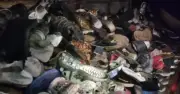 সাভারে জুতার দোকানে আগুন, সাত দোকান ক্ষতিগ্রস্ত