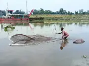 ব্রহ্মপুত্রের বুকে জাল ফেলে জীবনসংগ্রাম দুদু মিয়ার