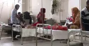 হামে বয়স্ক ও গর্ভবতীদেরও আক্রান্ত হওয়ার ঝুঁকি, বিশেষজ্ঞদের সতর্কতা