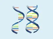 জীববিজ্ঞান: RNA ও DNA বহুনির্বাচনি প্রশ্নোত্তর