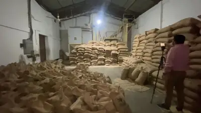 শেরপুরে বিনামূল্যে বিতরণের ৩৩ টন সরকারি চাল জব্দ, আটক ১