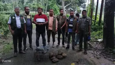 মিরপুর গুদাম থেকে ৪২ বিরল প্রাণী উদ্ধার, আন্তর্জাতিক পাচার চক্রের সন্ধান