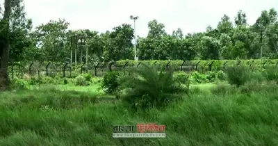 শেরপুর সীমান্তে ভারতে যাওয়ার চেষ্টায় ৯ বাংলাদেশি আটক, ৪ শিশু