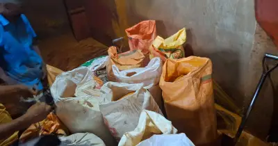 রাজধানীতে ভেজাল হলুদের গুঁড়া জব্দ, চার প্রতিষ্ঠান জরিমানা