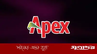 ৩ জেলায় চাকরি দেবে অ্যাপেক্স, এইচএসসি পাশেই আবেদন