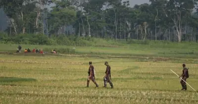 বেনাপোল সীমান্তে বিএসএফের ঠেলে পাঠানো ১০ জন জিরো লাইনে