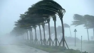সন্ধ্যার মধ্যে ৬০ কিমি বেগে ঝড়ের সম্ভাবনা, ইসলামী ব্যাংকে বিক্ষোভ