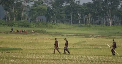 বিএসএফের তাড়িয়ে দেওয়া ১০ বাংলাদেশি সীমান্তে আটকা