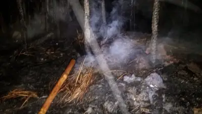 বাংলাদেশে নতুন শিক্ষানীতি অনুমোদন, পরিবর্তন আসছে শিক্ষাক্ষেত্রে